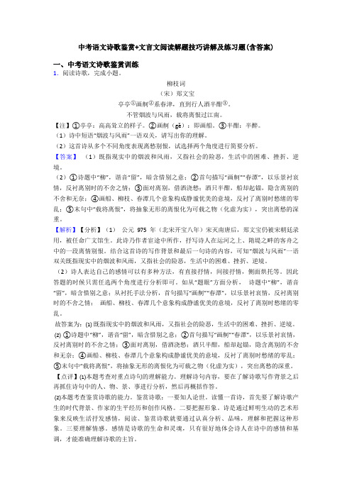 中考语文诗歌鉴赏+文言文阅读解题技巧讲解及练习题(含答案)