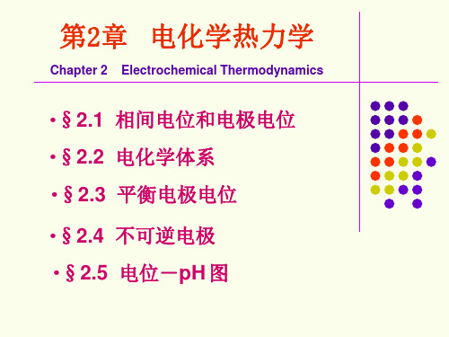 第二章 电化学热力学