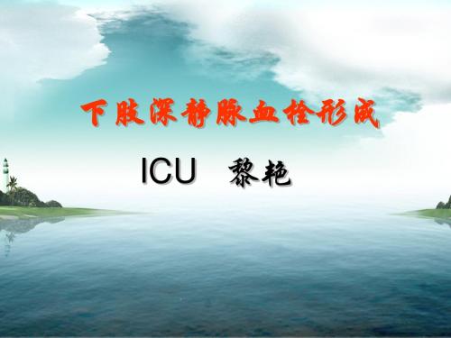 DVT的护理 PPT课件