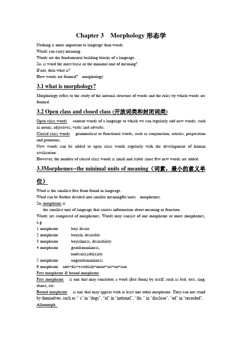 英语语言学2  Morphology形态学word讲义