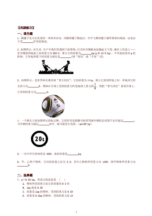 【衡水初中】人教版八年级物理下册导学 重力(提高) 巩固练习-精品