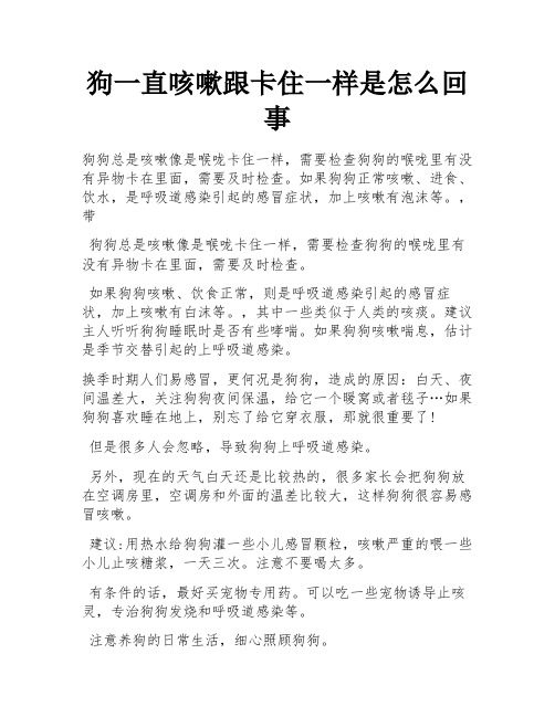 狗一直咳嗽跟卡住一样是怎么回事