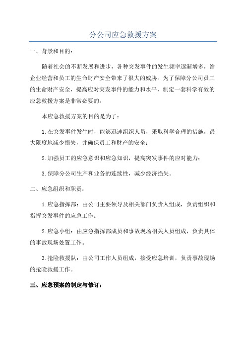 分公司应急救援方案