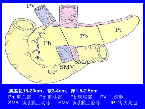 胰腺炎