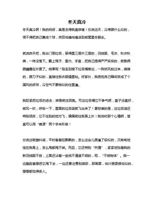 作文《冬天真冷》