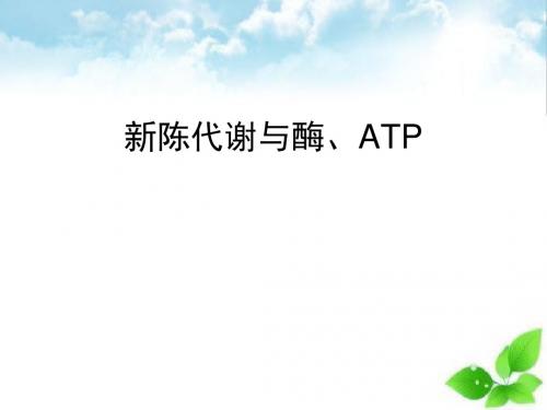 新陈代谢与酶、ATPppt课件(自制)