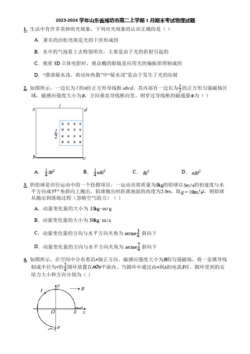 2023-2024学年山东省潍坊市高二上学期1月期末考试物理试题