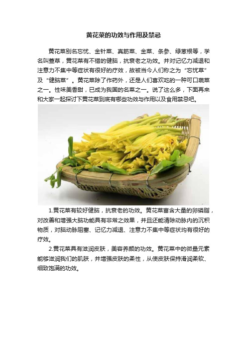 黄花菜的功效与作用及禁忌