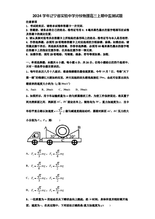 2024学年辽宁省实验中学分校物理高三上期中监测试题含解析