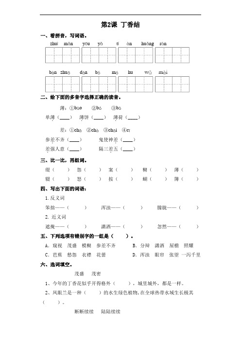六年级语文上册一课一练-第2课 丁香结 部编版(含答案)