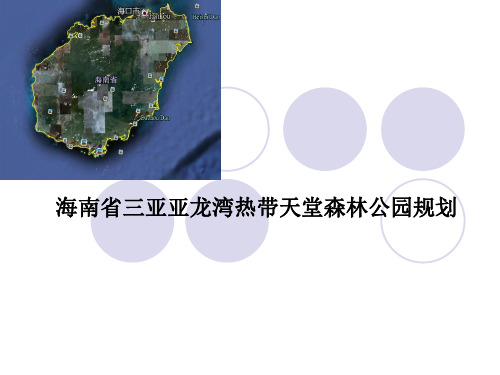 三亚亚龙湾热带天堂森林公园规划介绍.ppt