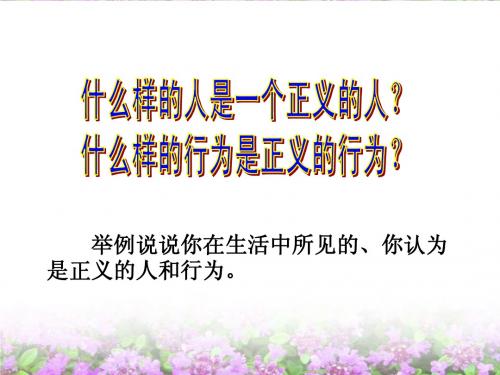 8.2 社会规则与正义 课件11(政治粤教版八年级下册)