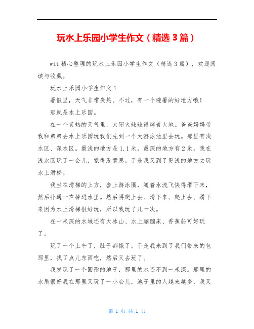 玩水上乐园小学生作文(精选3篇)
