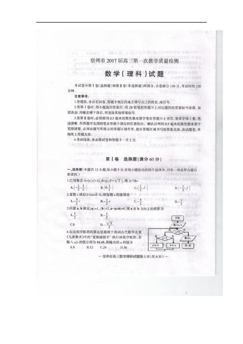 安徽省宿州市高三第一次教学质量检测(期末)理科数学试题