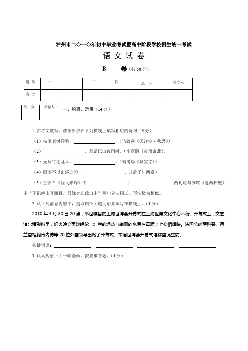 2010年四川省泸州市中考《语文》B卷试题及答案