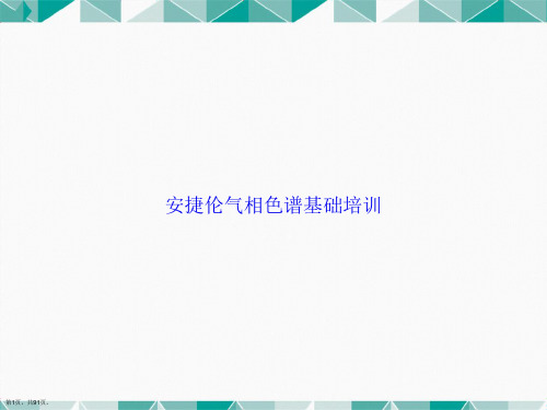 安捷伦气相色谱基础培训讲课文档