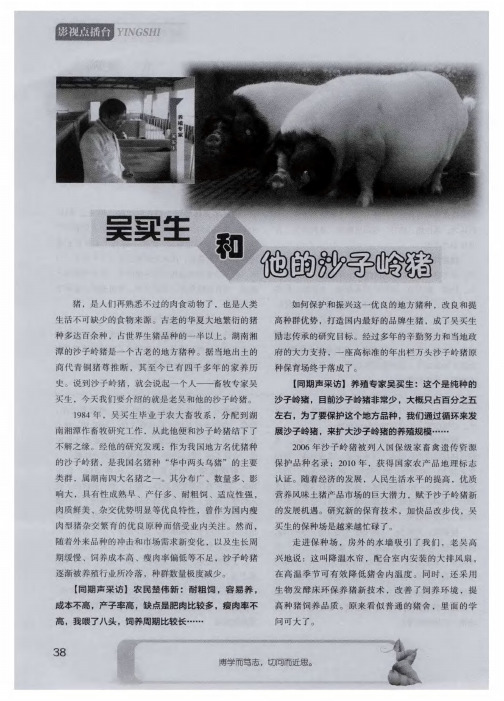 吴买生和他的沙子岭猪