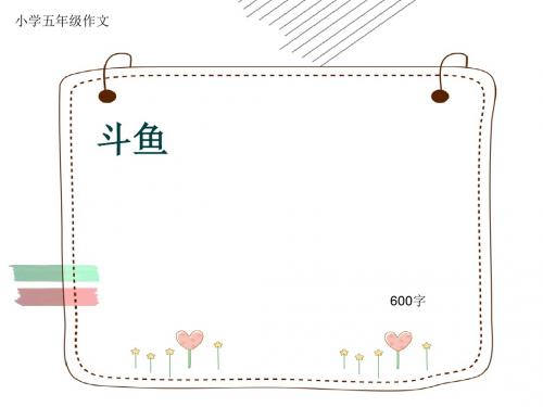 小学五年级作文《斗鱼》600字(共10页PPT)