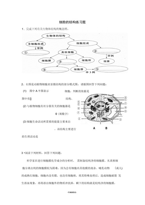 细胞的基本结构练习题(含答案)