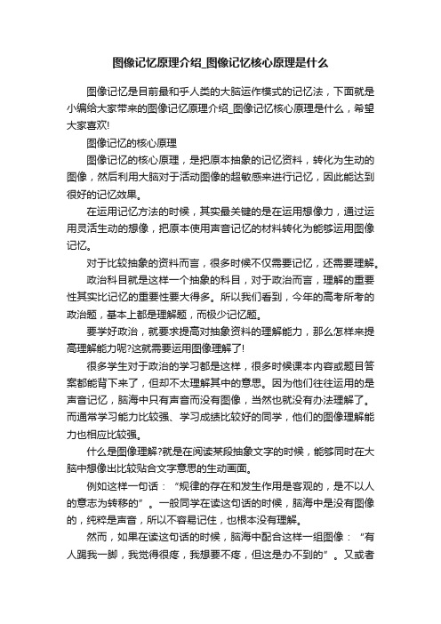 图像记忆原理介绍_图像记忆核心原理是什么