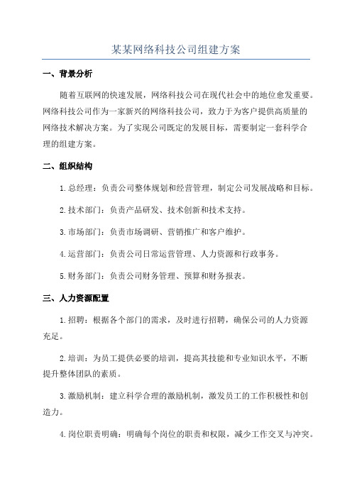 某某网络科技公司组建方案