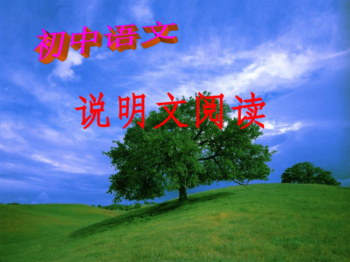 初中语文说明文阅读ppt课件