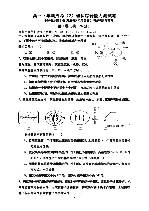 高三下学期周考(2)理科综合能力测试卷