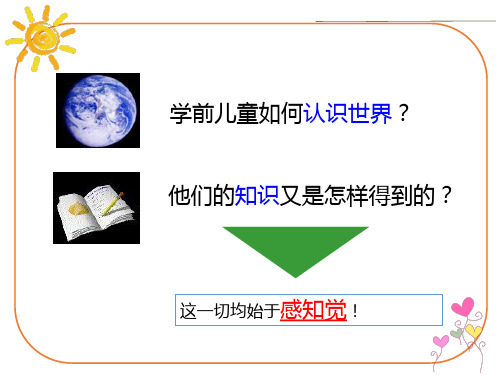 学前儿童发展心理学第2章第一节感觉和知觉课件