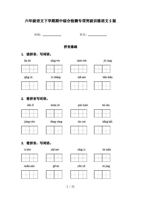 六年级语文下学期期中综合检测专项突破训练语文S版