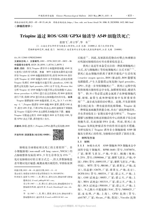 Triapine通过ROS／GSH／GPX4轴诱导A549细胞铁死亡