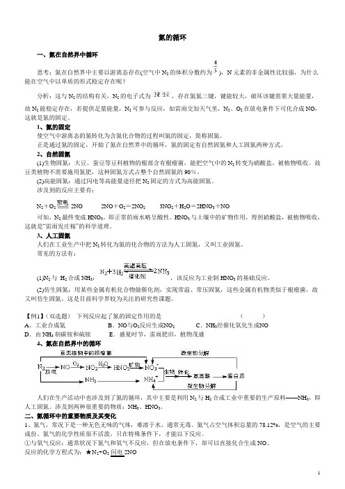 三-2-氮的循环知识点