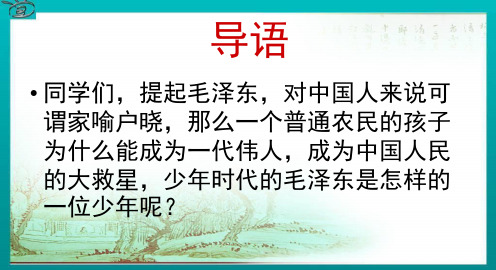 《毛泽东：忆往昔,峥嵘岁月稠》名师课件2