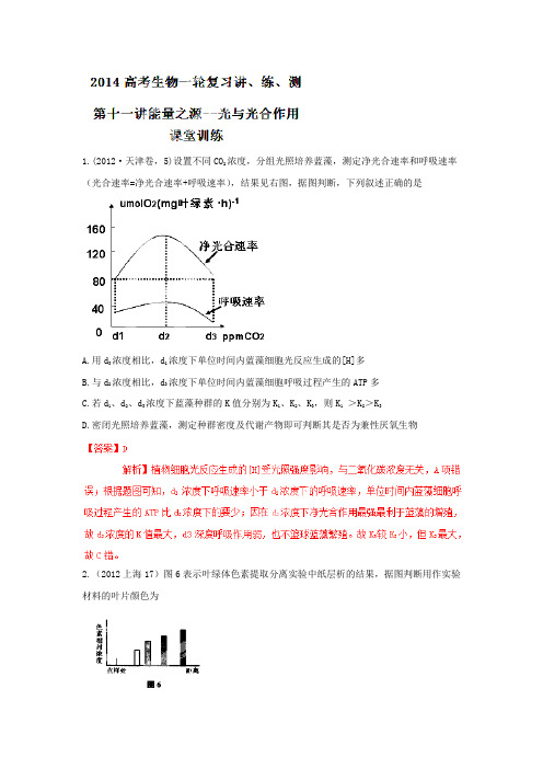 2014高考生物一轮复习讲、练、测第十一讲能量之源--光与光合作用课堂训练(解析版)