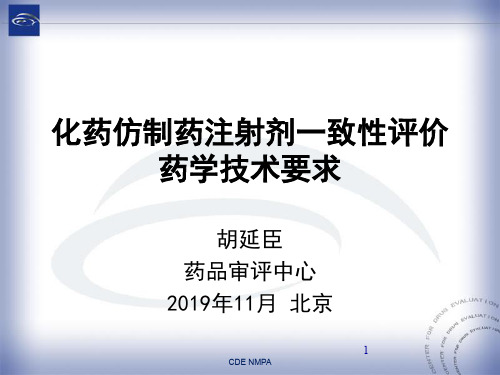 9.化药仿制药注射剂一致性评价药学技术要求