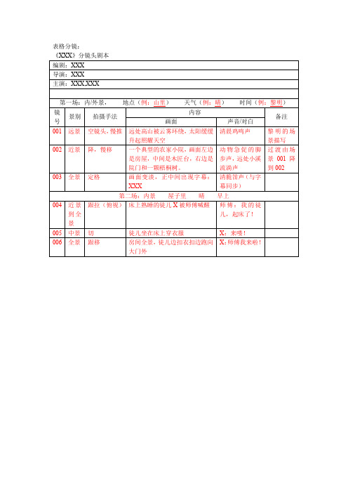 分镜头文字脚本(模板)