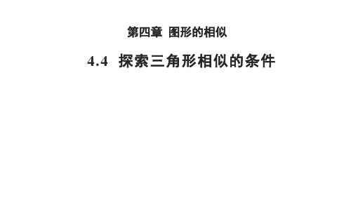 4.4 探索三角形相似的条件 数学北师大版 九年级上册教学课件