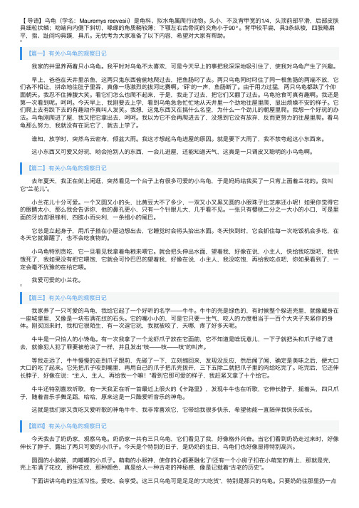 有关小乌龟的观察日记五篇