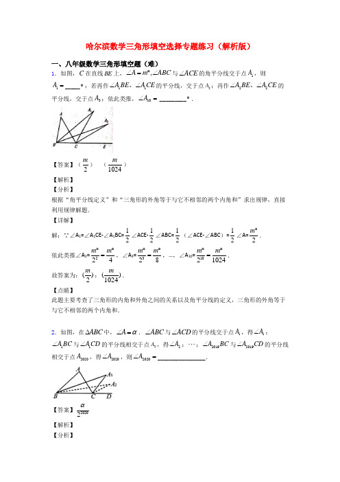 哈尔滨数学三角形填空选择专题练习(解析版)