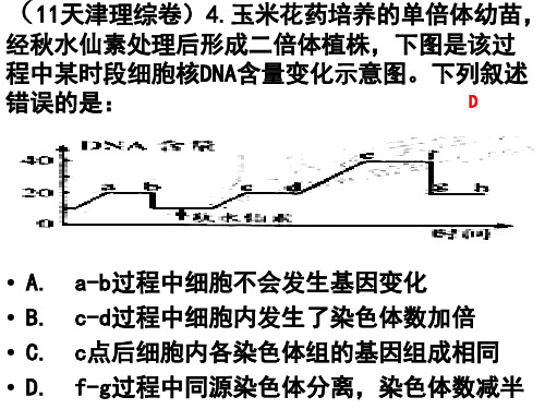 高中生物一轮复习分离定律PPT课件