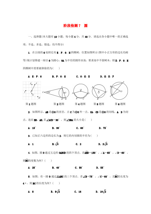 浙江省2019年中考数学总复习阶段检测7圆试题(含答案)50