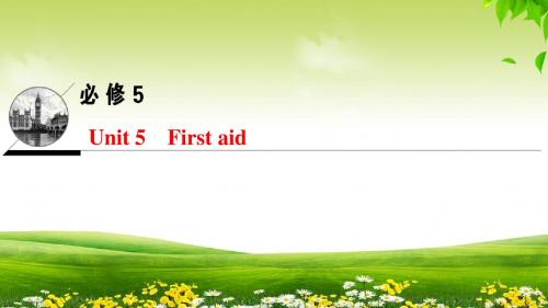 2019年人教版英语高考一轮复习第一部分 必修5 Unit 5 First aid