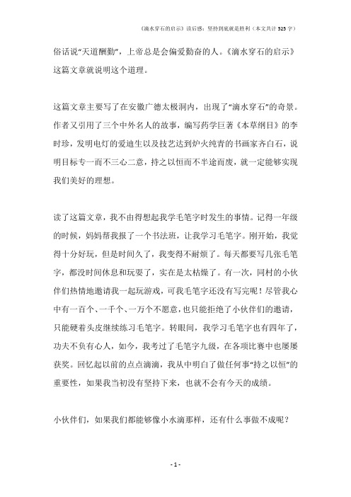 《滴水穿石的启示》读后感:坚持到底就是胜利