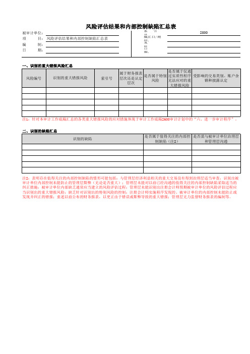 2500 风险评估结果和内部控制缺陷汇总表