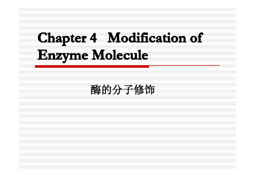 酶工程 第四章 酶分子修饰