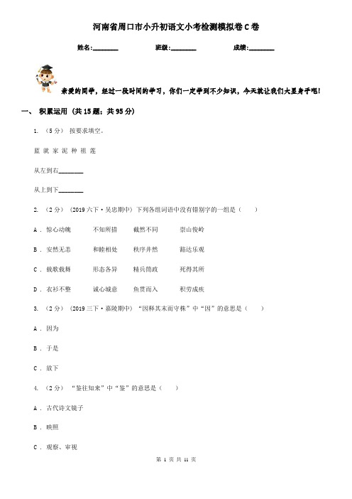 河南省周口市小升初语文小考检测模拟卷C卷