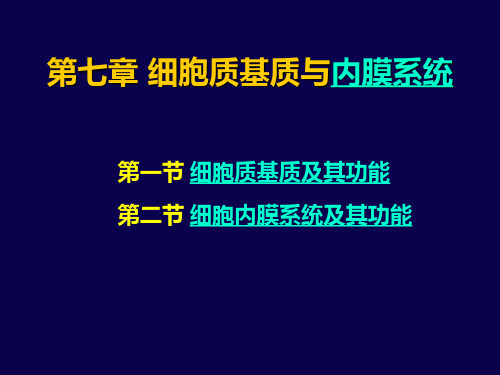 第七章 细胞质基质与内膜系统 南开大学细胞生物学课件