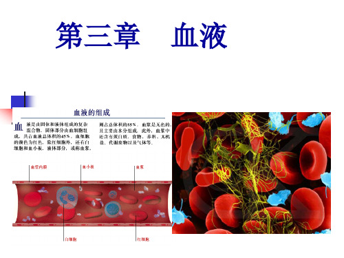 第三章 鱼类生理学血液gai