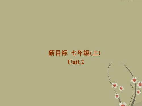 七年级英语上册 Unit2 Is this your pencil Section B 1课件 人教新目标版