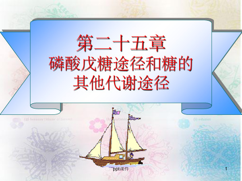 《戊糖途径》PPT课件