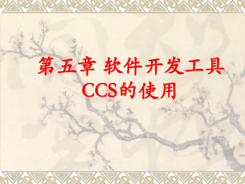 CCS使用